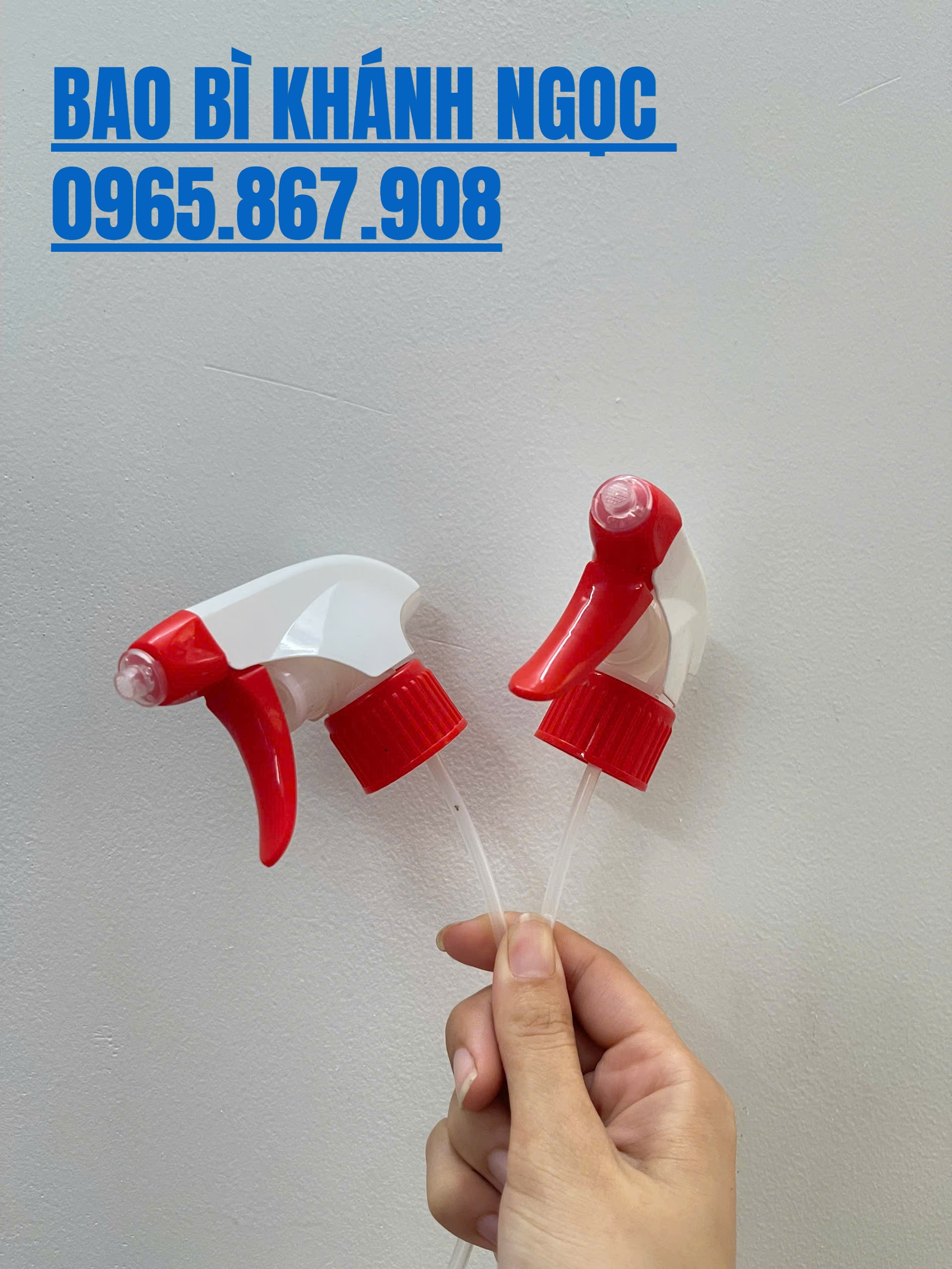 1787195852360_889151022288699138_g8256278800022586304_972193e5ff24e9c2da42e6f7f2c55769 1787195852360_889151022288699138_g8256278800022586304_972193e5ff24e9c2da42e6f7f2c55769
